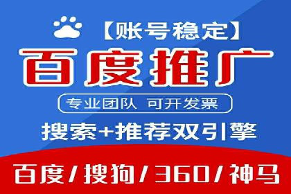 某品牌SEM广告投放的ROI提升案例